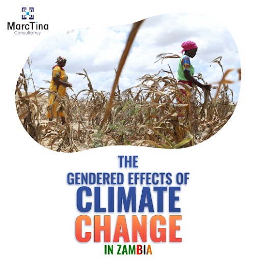 https://marctinaconsultancy.com/wp-content/uploads/2024/07/Gendered-Impact-of-Climate-Change.jpg